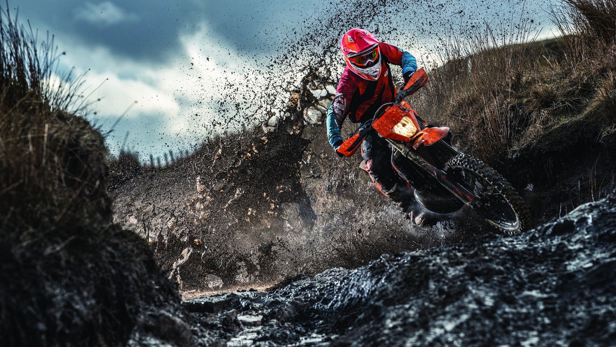 奥运赛场,日本队展现铁血精神!,日本奥运会参赛队