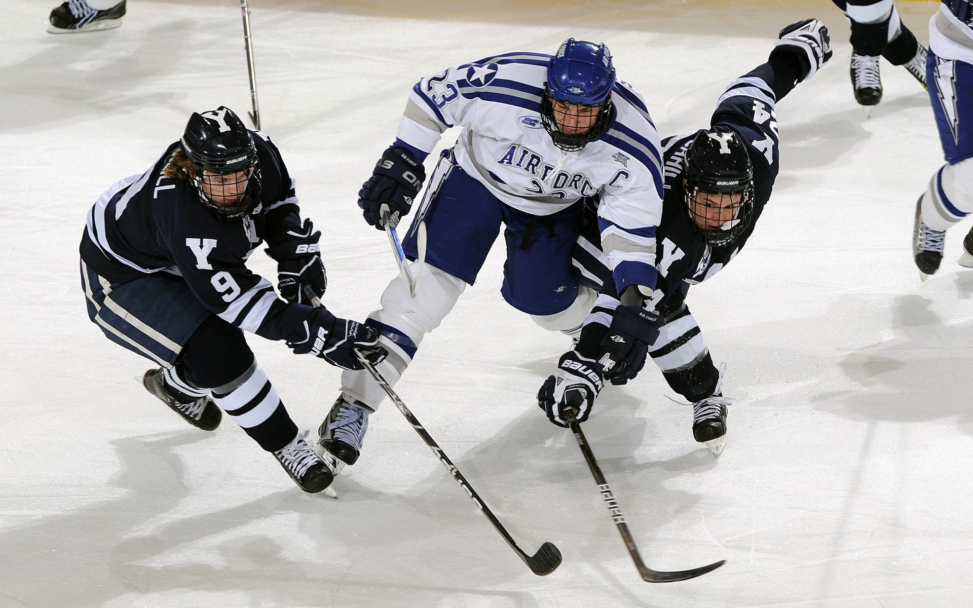 开云体育中国官网-【水手的逆转队形】从落后到领先的变化之谜，水手入门